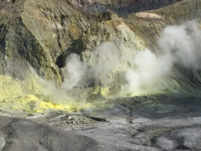 https://iaahbr.tmgrup.com.tr/42879b/0/0/0/0/0/0?u=https://iahbr.tmgrup.com.tr/album/2019/12/09/1575883400567.jpg
