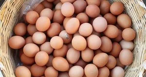 Yumurtanın bir faydası daha ortaya çıktı