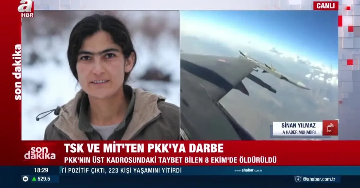 PKK’nın üst kadrosundaki Taybet Bilen öldürüldü