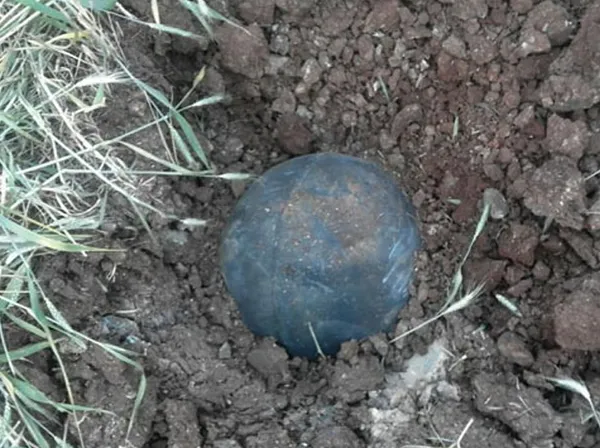 Buğday tarlasında bulunan metal cisim imha edildi - 1