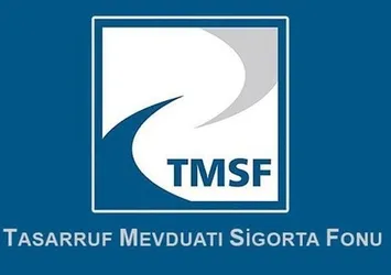 Düzce'de 17 şirket TMSF'ye devredildi