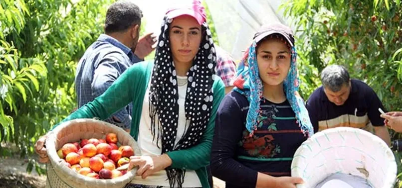 Ekmek parası için 03.30’da kalkıp yollara düşüyorlar