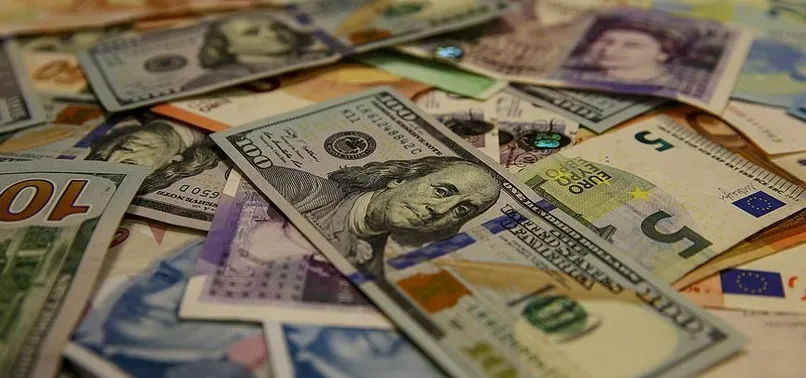 Ekonomi Bakanlığı'na döviz için yeni yetki