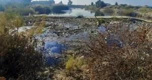 Bakanlık Büyük Menderes için harekete geçti