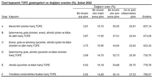 Son dakika: Enflasyon rakamları açıklandı! - 5