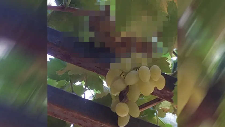 Son dakika: Asmadan gelen sese bakınca neye uğradığını şaşırdı! Bakın kim suçüstü yakalandı?