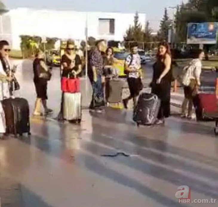 Milas- Bodrum Havalimanı’nda yılan paniği