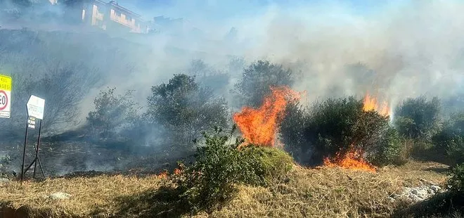 Son dakika: İstanbul Kartal’da ağaçlık alanda yangın