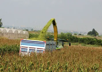 Tarımda 150 milyar dolarlık hamle