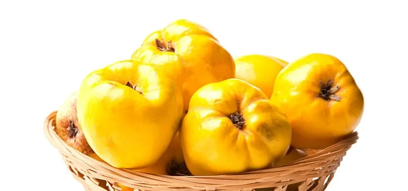 Ayvanın faydaları nelerdir? Ayva suyu neye iyi gelir?