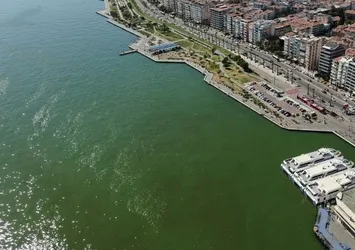 İzmir Körfezi için acil eylem planı: Bakanlık harekete geçti! | CHP'li başkan imza atmadı