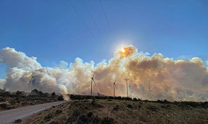 izmirde-3-ilcede-yangin-havadan-ve-karadan-mudahale-suruyor-1719678226277.jpg İzmir'deki 3 yangın kontrol altına alındı! Bakan Yumaklı yangınların çıkış nedenini açıkladı - 14