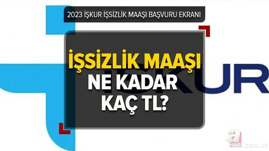 İşsizlik maaşı ne kadar, kaç TL 2023? İşsizlik maaşı nasıl alınır, şartları neler? İŞKUR BAŞVURU EKRANI! En düşük, en yüksek maaş hesaplama 1