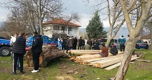 Çanakkale’de vahşet! Çöp kovasında baş bulundu