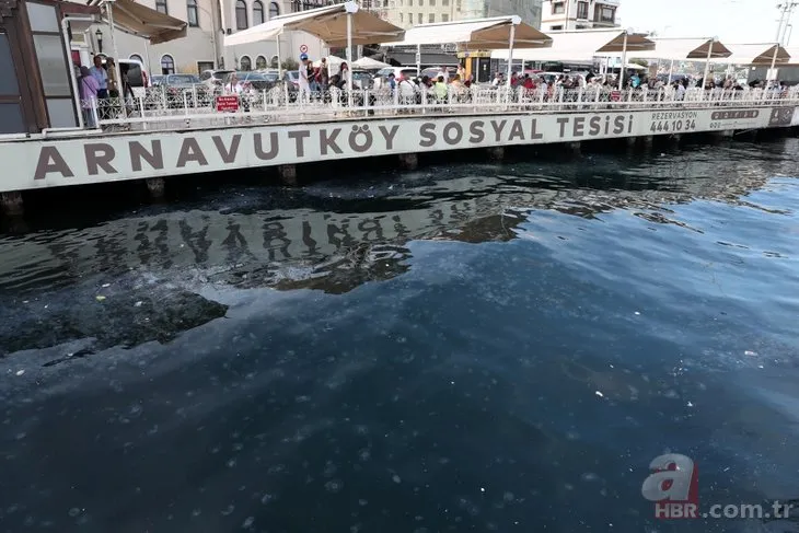 İstanbul Boğazı’nda endişelendiren görüntü! Oltaya denizanası takılıyor