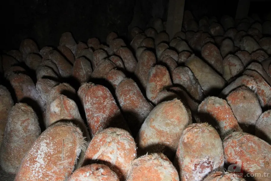 Mağarada üretilen peynir yıllık 3.5 milyon lira gelir sağlıyor 11