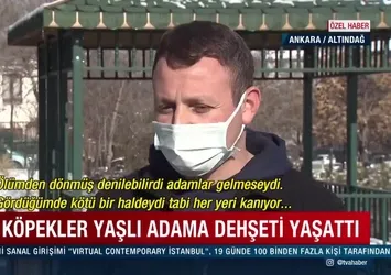 Köpekler yaşlı adama dehşeti yaşattı