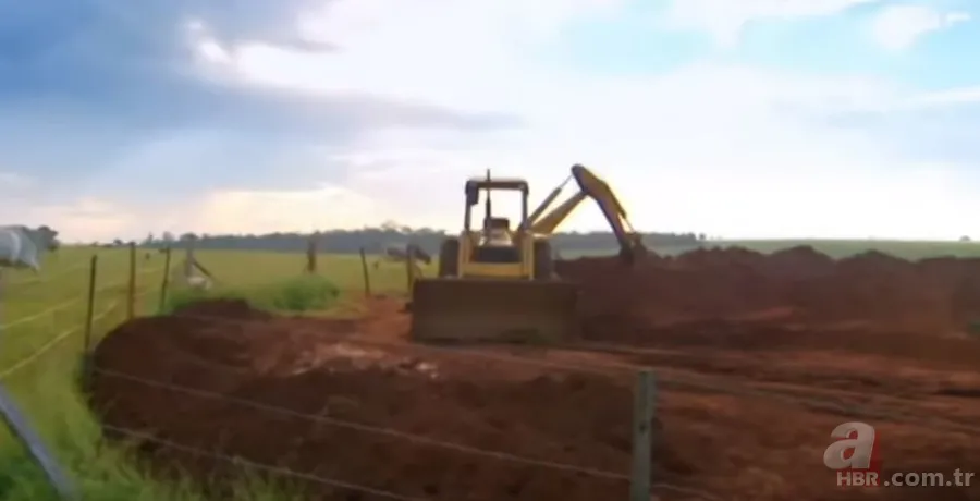 Karınca yuvasından sanat eseri çıktı 🐜 Vahşi doğanın usta mimarları! Otoban, yan yol ve patika bile yapmışlar 16