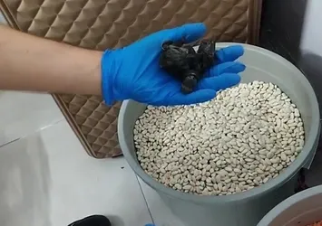 Fasulye kovasından uyuşturucu çıktı!