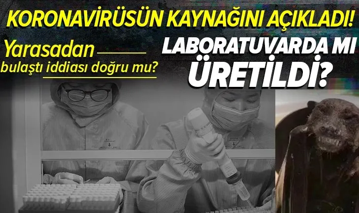 ABD koronavirüsün kaynağını açıkladı! Çin’deki bir laboratuvarda üretildi! Koronavirüs yarasadan mı bulaştı?