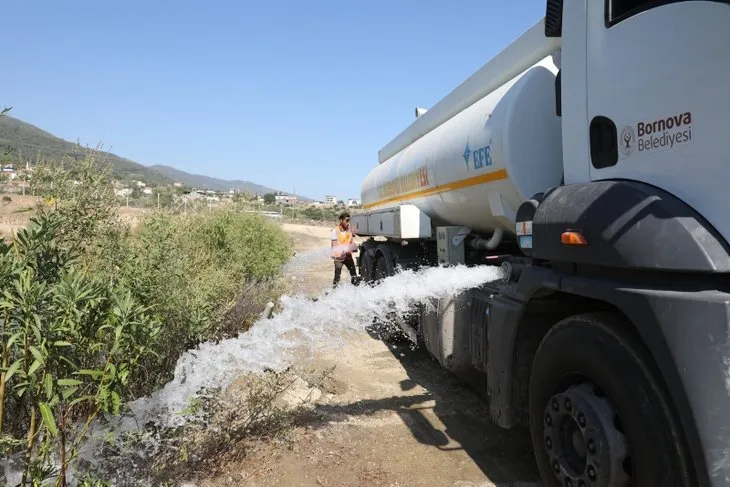 Türkiye'deki yangınlarda son durum! Manavgat, Köyceğiz, Muğla, Antalya, Isparta, Milas...