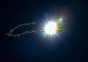 Hindistan'da uçurtma kazası: 3 ölü