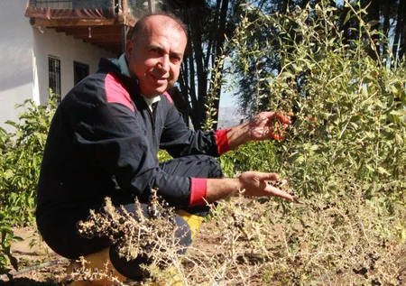 Çorak araziyi tropikal meyve bahçesine çevirdi! İhtiyaç sahiplerine ücretsiz dağıtıyor