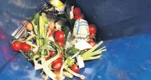 Almanya’da çöpten yemek almaya izin çıkıyor