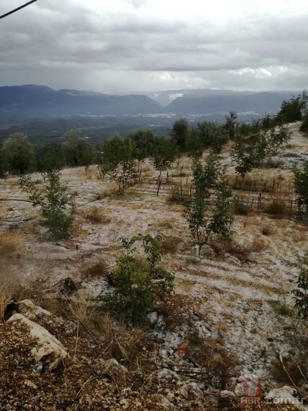 Aniden bastırdı! Antalya doluya teslim oldu: Çatılar uçtu ağaçlar devrildi