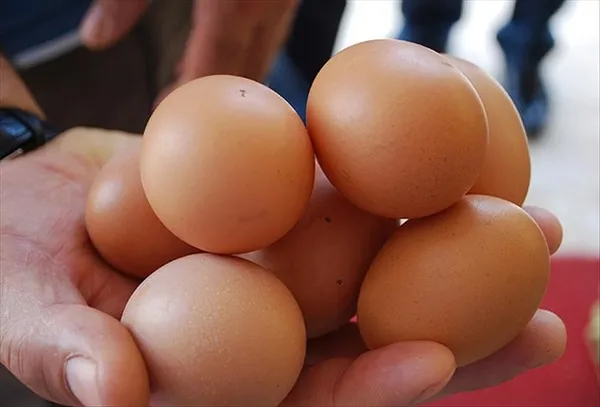 yumurta-tuketirken-bunlara-dikkat-edin-gunde-2-tane-yerseniz-1710141008171.jpg Bu faydasını kimse bilmiyordu! Günde 2 tane yumurta tüketmek için 10 sebep - 2