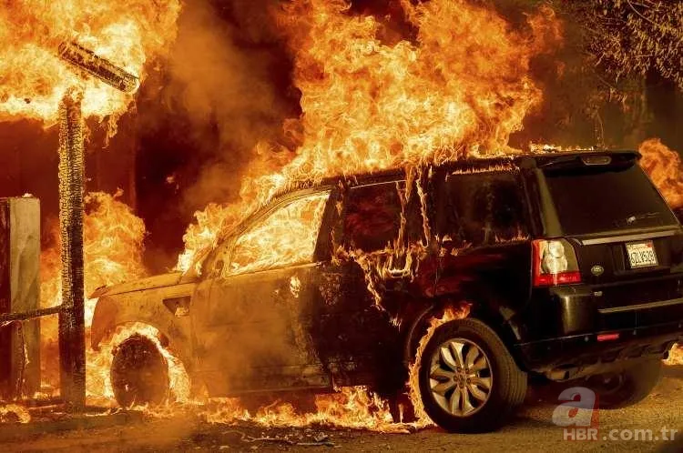 ABD'de dev orman yangını! 85 kilometrekarelik alan alevlere teslim 2