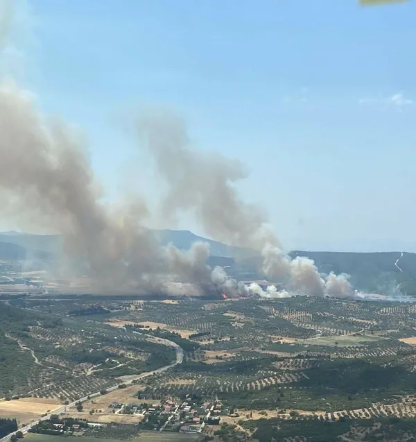Son dakika | İzmir Foça'da korkutan orman yangını! Ekipler bölgede! Havadan karadan müdahaleyle kontrol altına alındı - 2