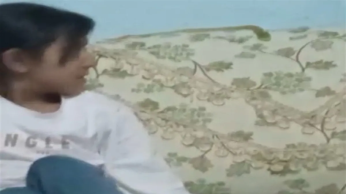 15 yıldır yılan korkusundan uyuyamıyorlar! 3 kez düşük yaptı