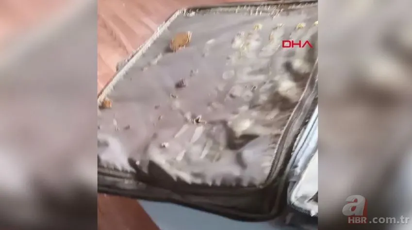 Valizden çıkanlar şoke etti! Kaçtığını sandı ama… 1