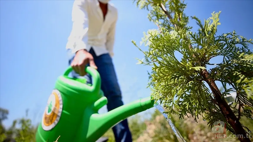 OGM işçi alımı sonuçları ne zaman? 496 sözleşmeli personel alımı takvimi 2