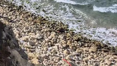 Şile sahilinde roket başlığı paniği