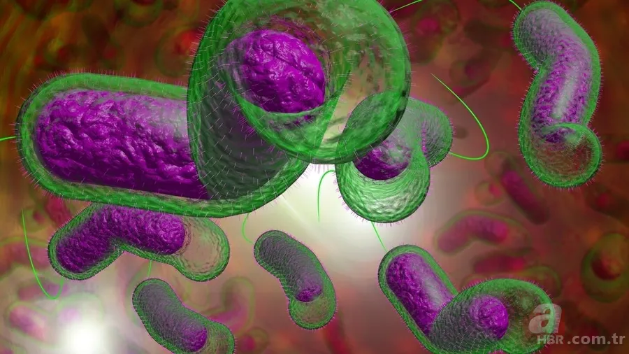 Kolera nedir, nasıl bulaşır? O ülkede ölü sayısı giderek artıyor: UNICEF uyardı! Tedavisi var mı, belirtileri neler? 7