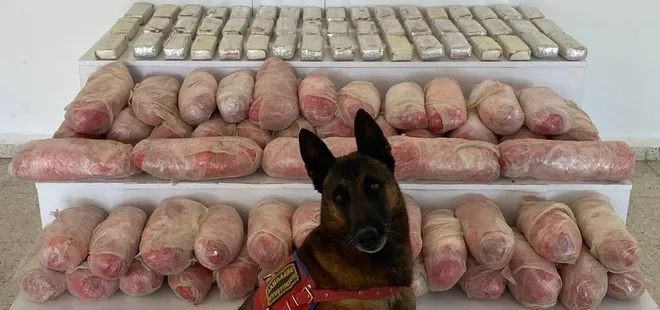 Van'da zehir tacirlerine operasyonu: 67 kilo uyuşturucu ele geçirildi