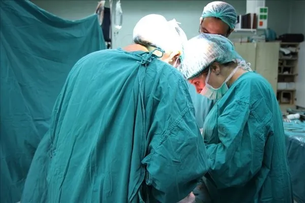 Domuzdan insana kalp nakli! Ünlü doktor Ömer Özkan dünyanın konuştuğu çalışmayı değerlendirdi: Çığır açıcı bir çalışma - 4