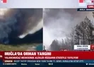 Muğla’da orman yangını