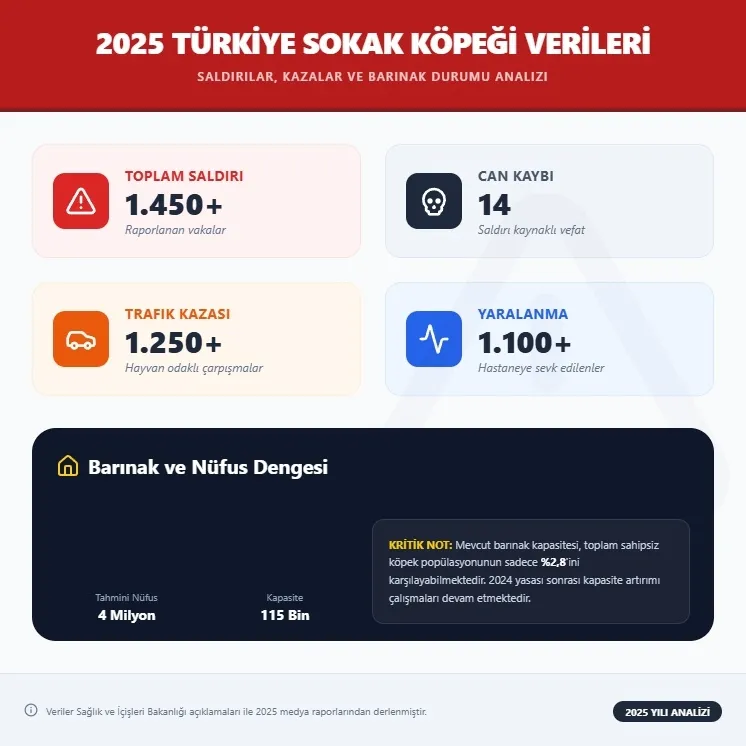 Başıboş köpekler tehlike saçıyor: Trabzon’da üniversiteli genç yaşam mücadelesi veriyor - 1