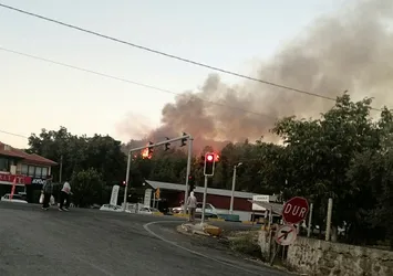 Muğla Ula'da yeni orman yangını