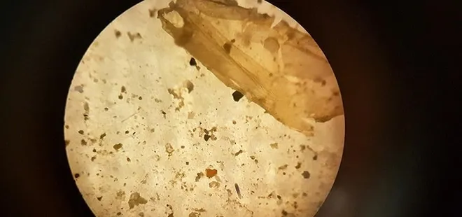 Hava değil mikroplastik soluyoruz! Bilim insanları uyarıyor