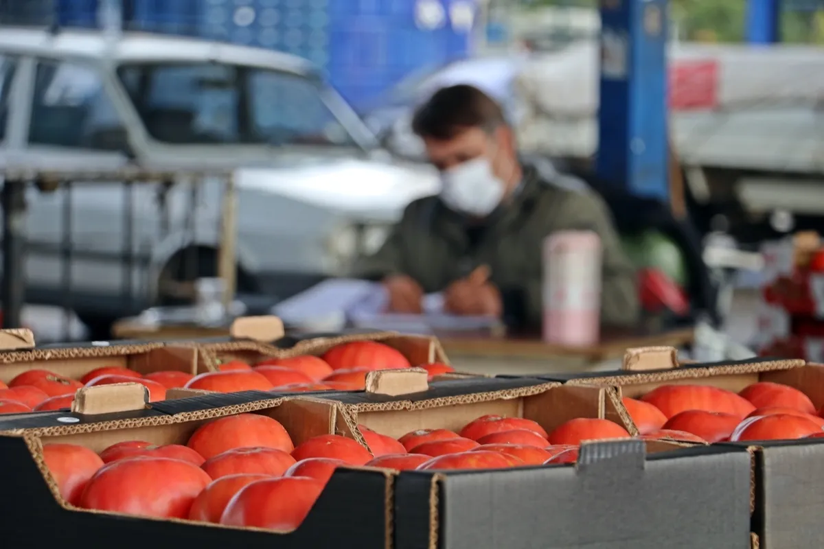 1792907753673.jpg Zincir marketlerde yüzde 20 dönemi! Yeni Hal Yasası taslağında dikkat çeken madde - 4