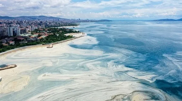 Başkan Recep Tayyip Erdoğan gençlerle bir araya geldi! Kritik Kanal İstanbul açıklaması