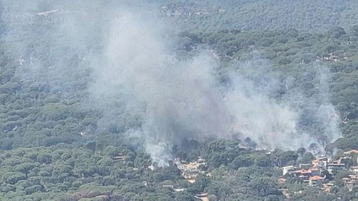 Bergama'da çıkan orman yangını kontrol altına alındı