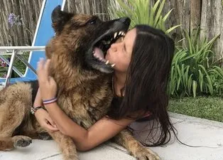 Köpekle fotoğraf çektirmek istedi başına gelmeyen kalmadı! İşte son hali...