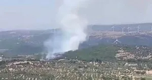 İzmir’de Ormanlık Alanda Yangın
