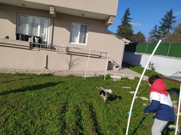 istanbulda-ilginc-goruntuler-sevimli-horoz-efe-cocuklarla-top-oynuyor-1674716673215.jpg İstanbul’da ilginç görüntüler! Sevimli horoz “Efe” çocuklarla top oynuyor - 2