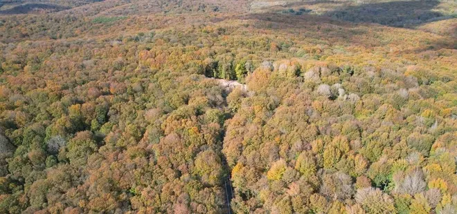 Belgrad Ormanı sonbahar renklerine büründü